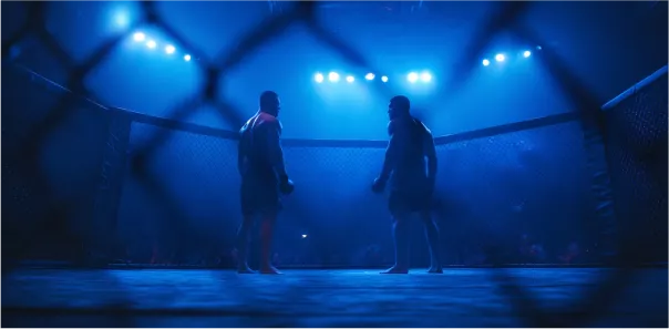 MMA döyüşü arenada 1xbet